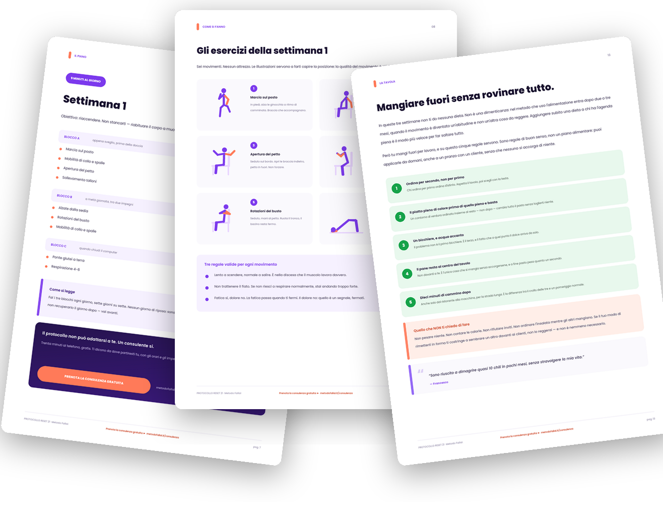 Alcune pagine interne del Protocollo RESET 21